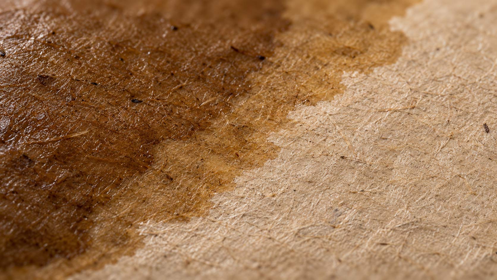 Close-up of a kraft pet food bag with a dark translucent grease stain spreading from the bottom seam through the paper layer